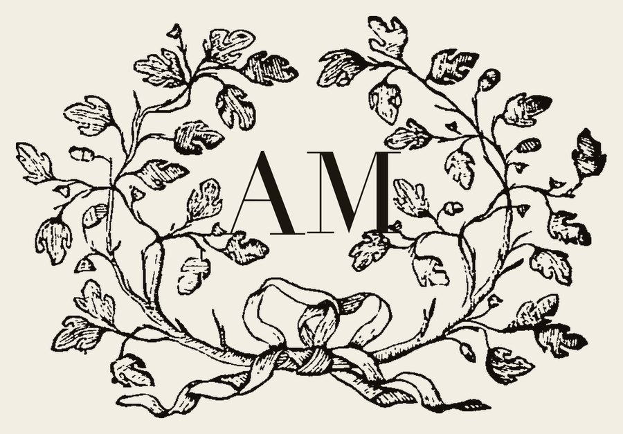 Plate VI - AM