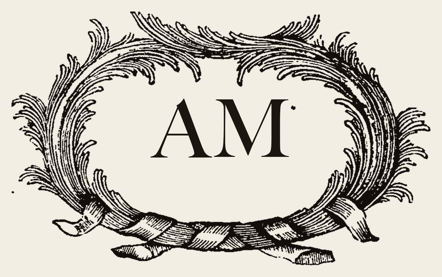 Plate VIII - AM