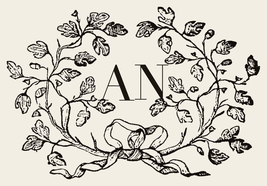 Plate V - AN