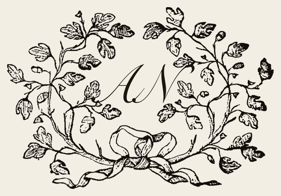 Plate IV - AN