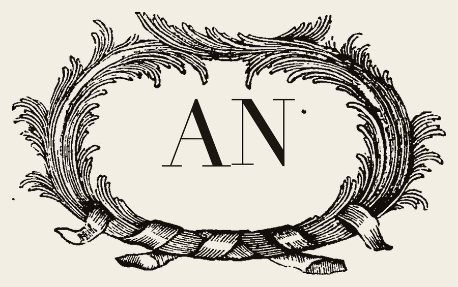 Plate VI - AN