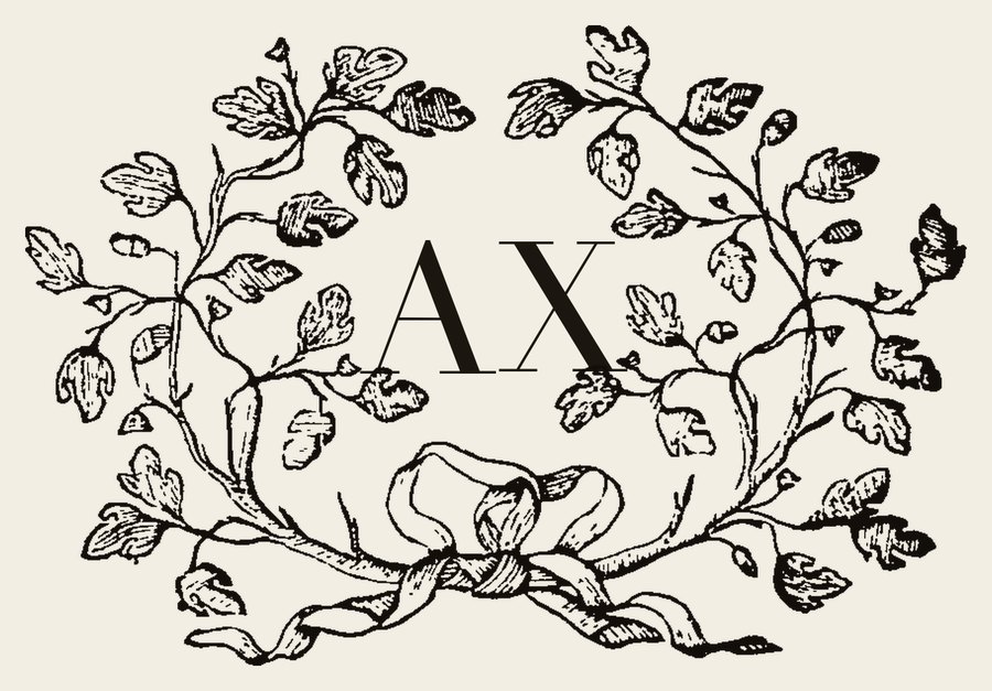 Plate IV - AX