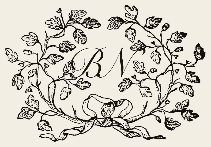 Plate IV - BN