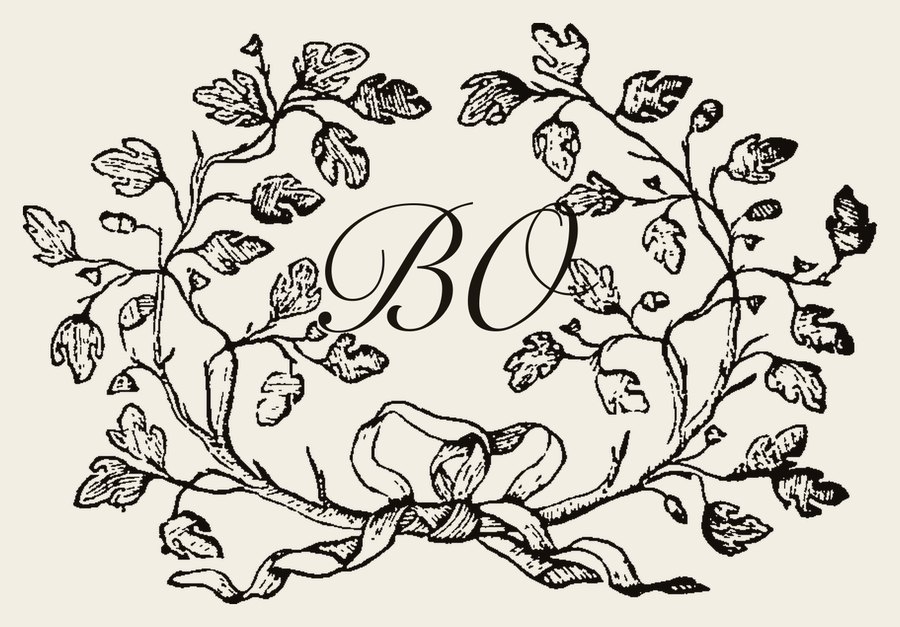Plate IV - BO