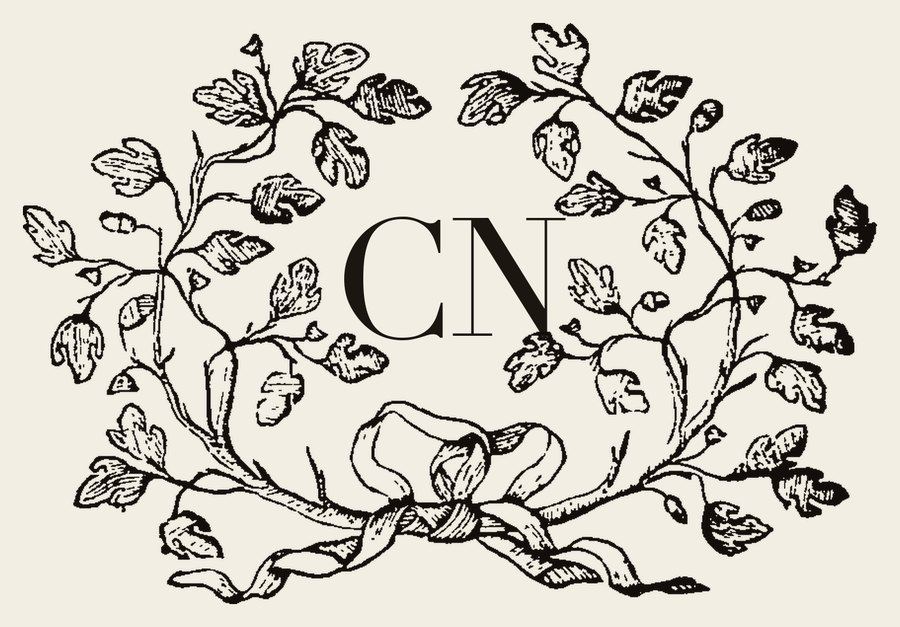 Plate IV - CN