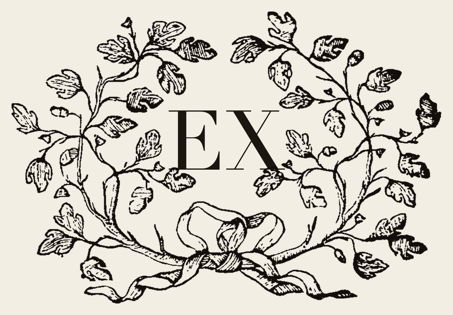 Plate IV - EX