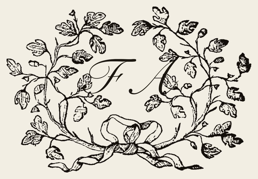 Plate IV - FA