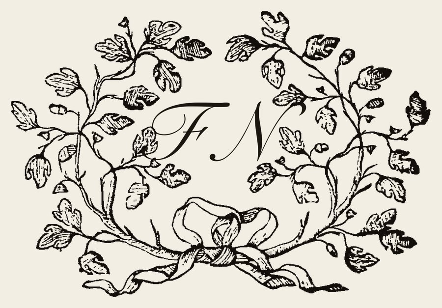 Plate V - FN