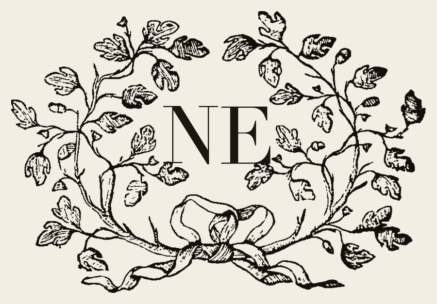 Plate V - NE