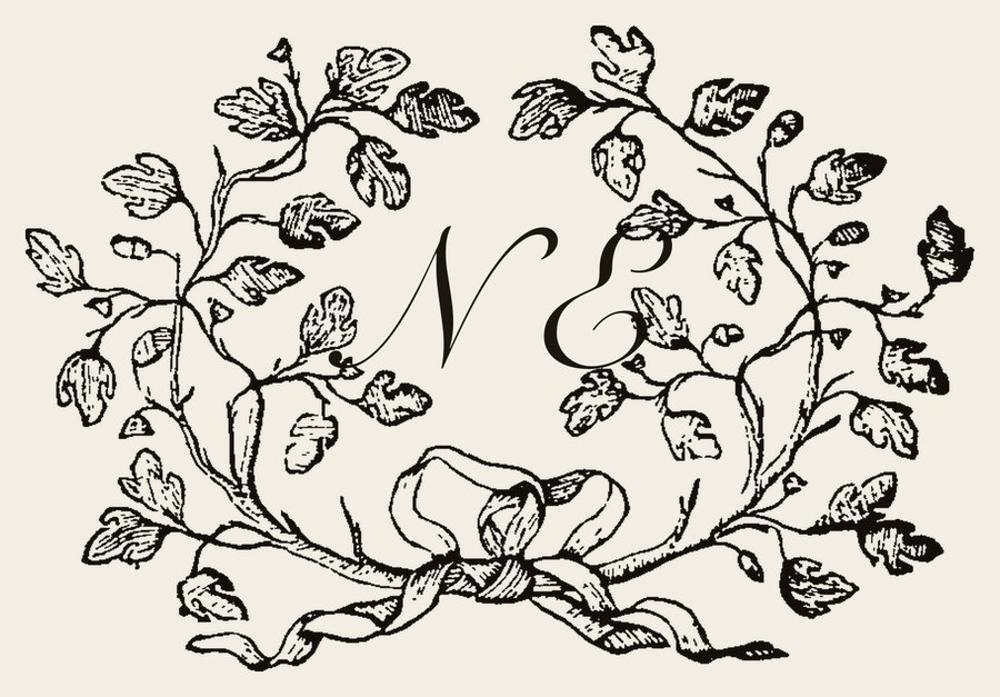 Plate IV - NE