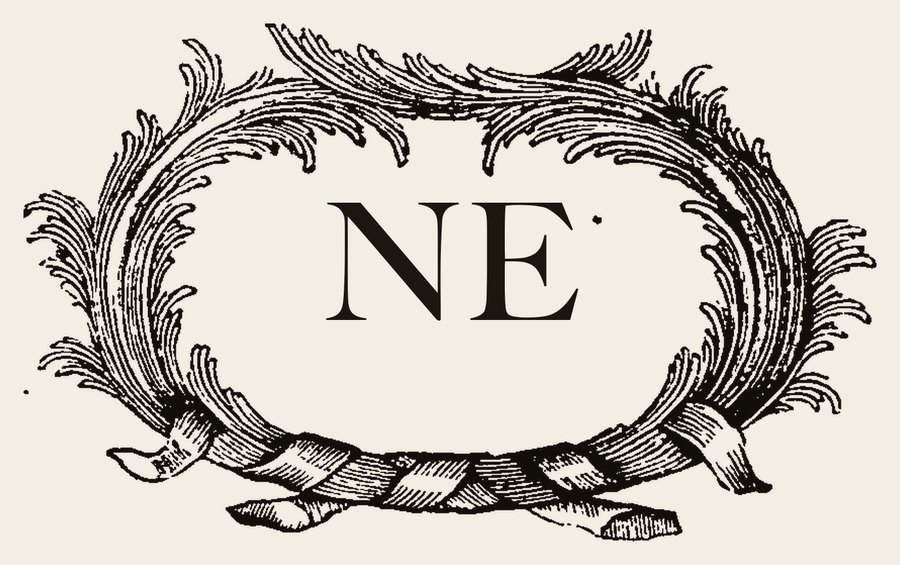 Plate VII - NE