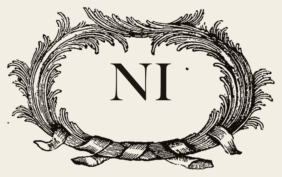 Plate VI - NI