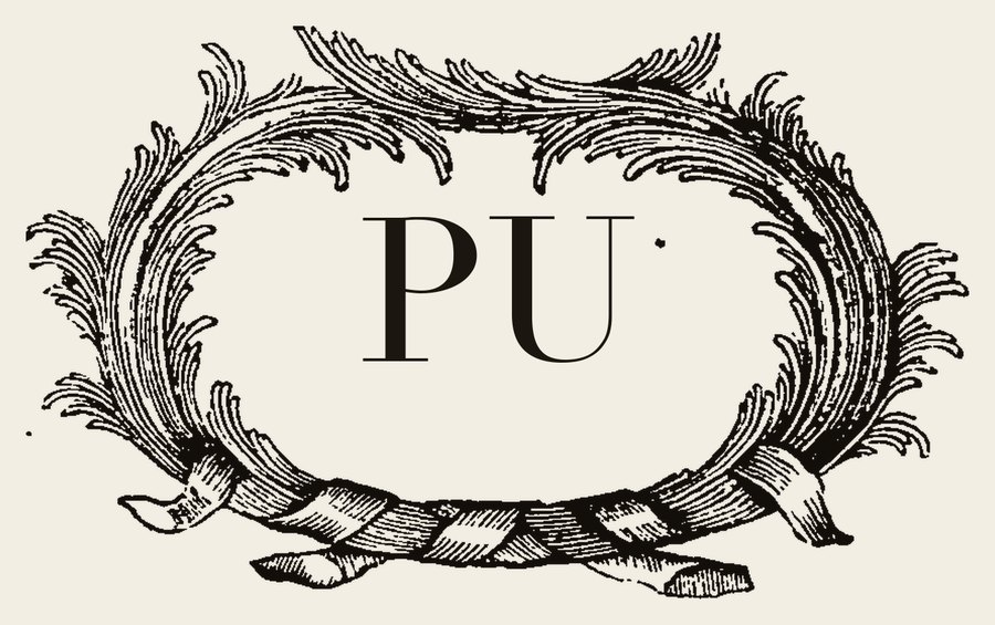 Plate VI - PU