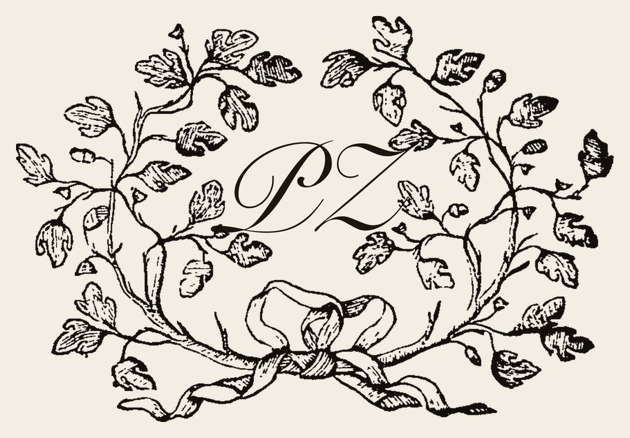 Plate III - PZ