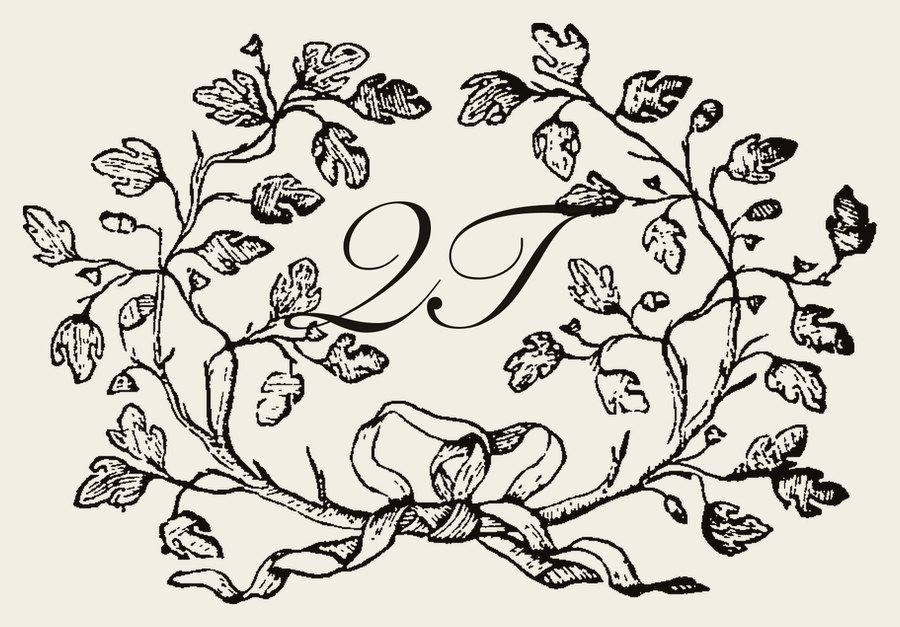 Plate IV - QT