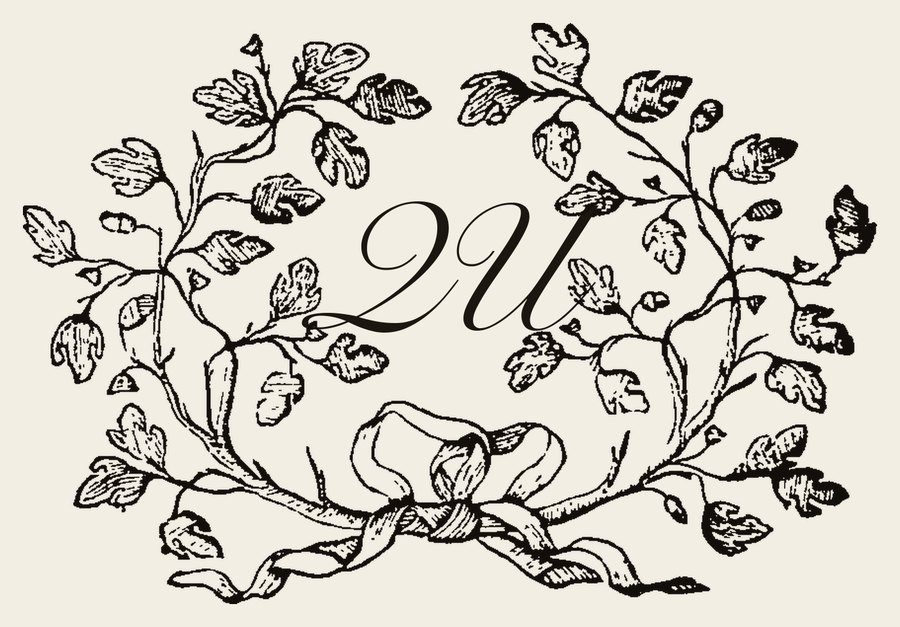 Plate IV - QU