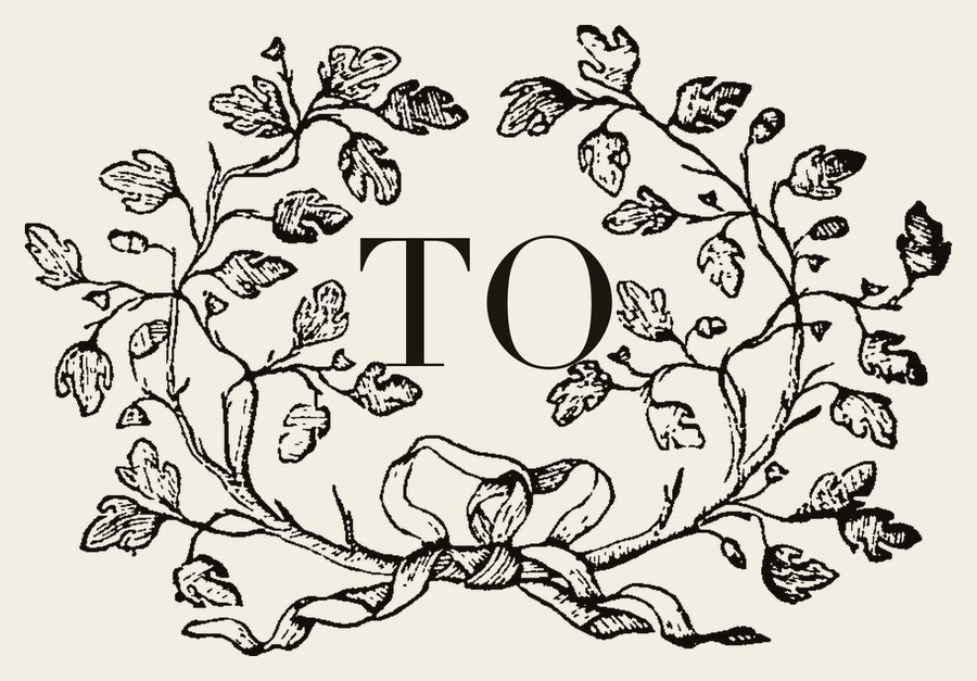 Plate IV - TO
