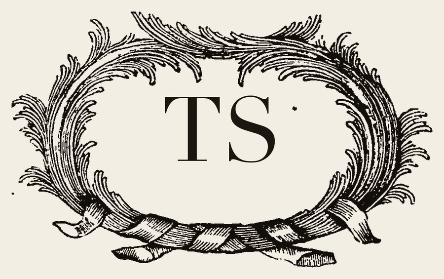 Plate VI - TS