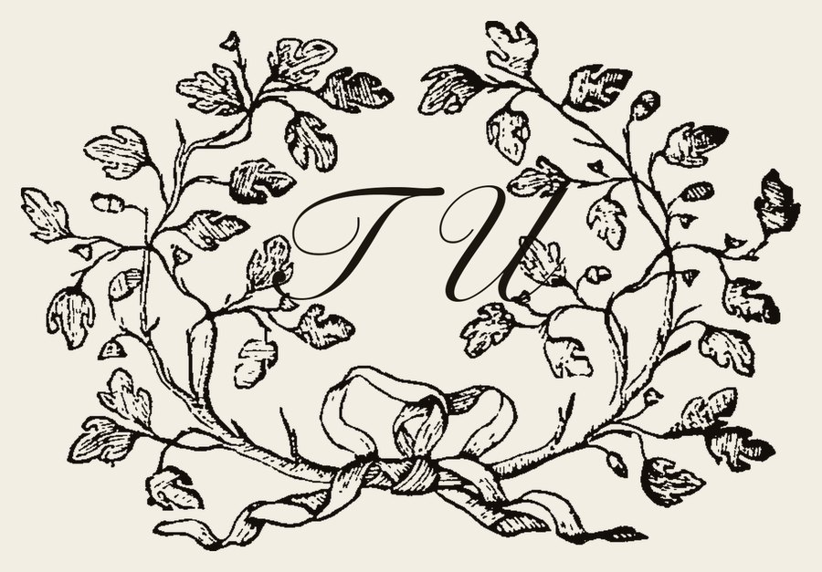 Plate IV - TU