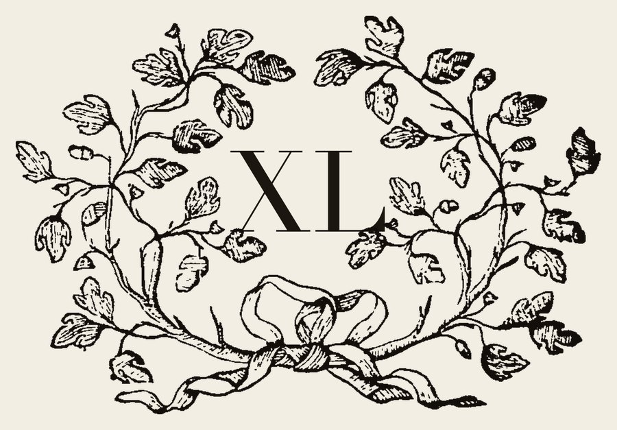 Plate IV - XL