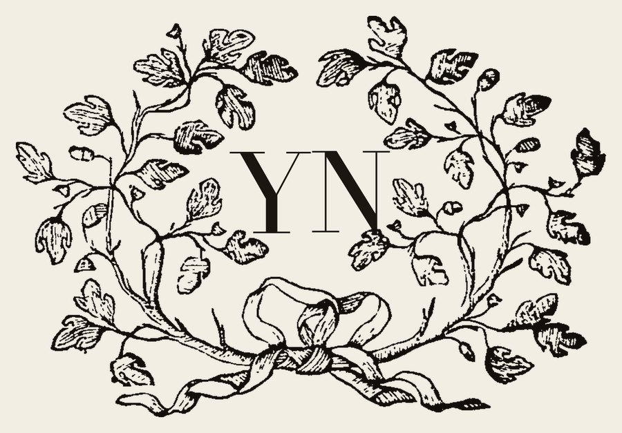 Plate IV - YN