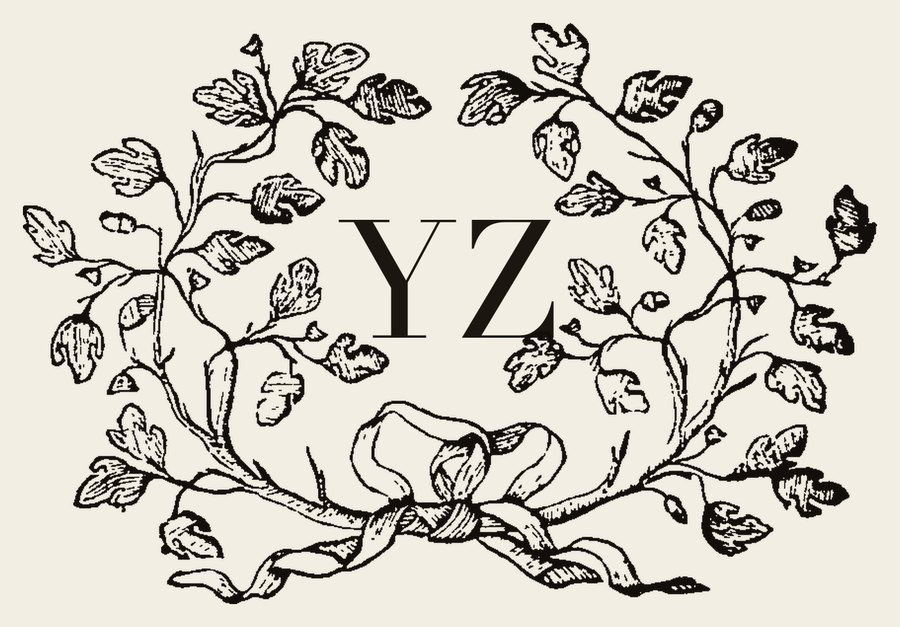 Plate III - YZ