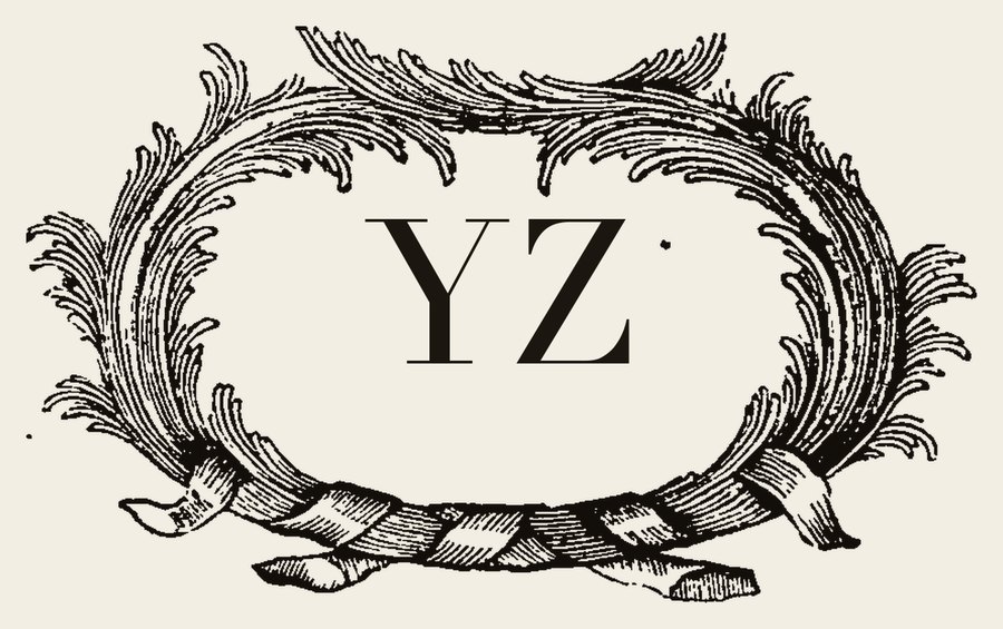 Plate IV - YZ