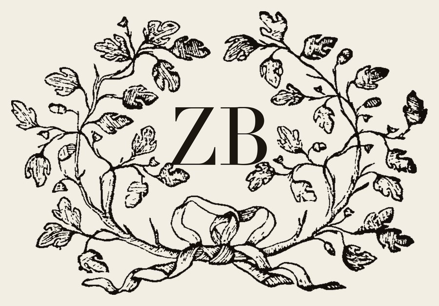 Plate IV - ZB