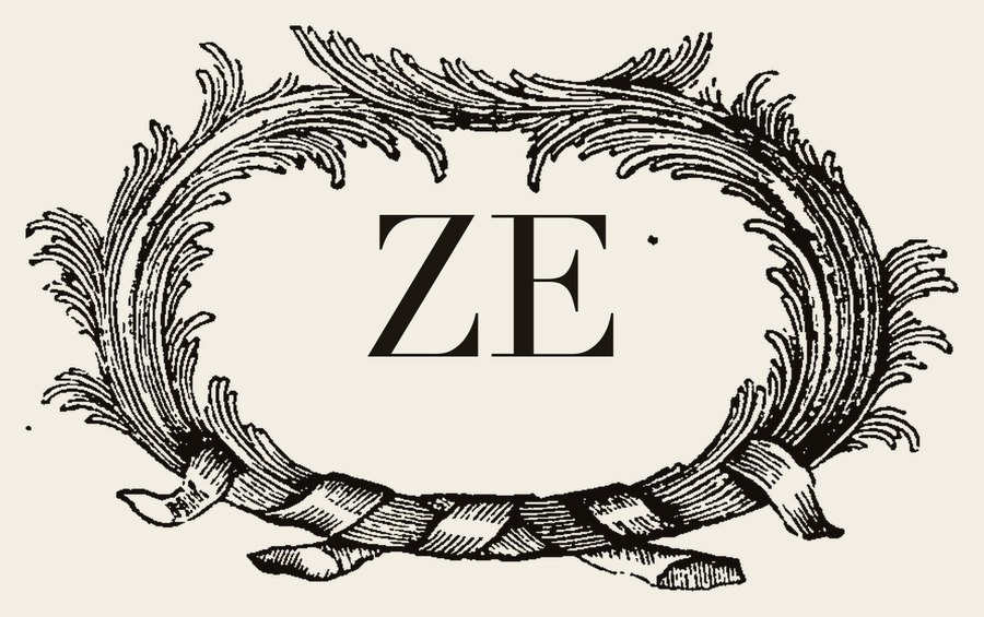 Plate V - ZE