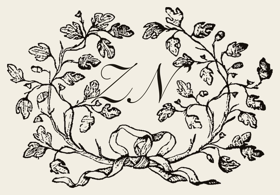 Plate III - ZN