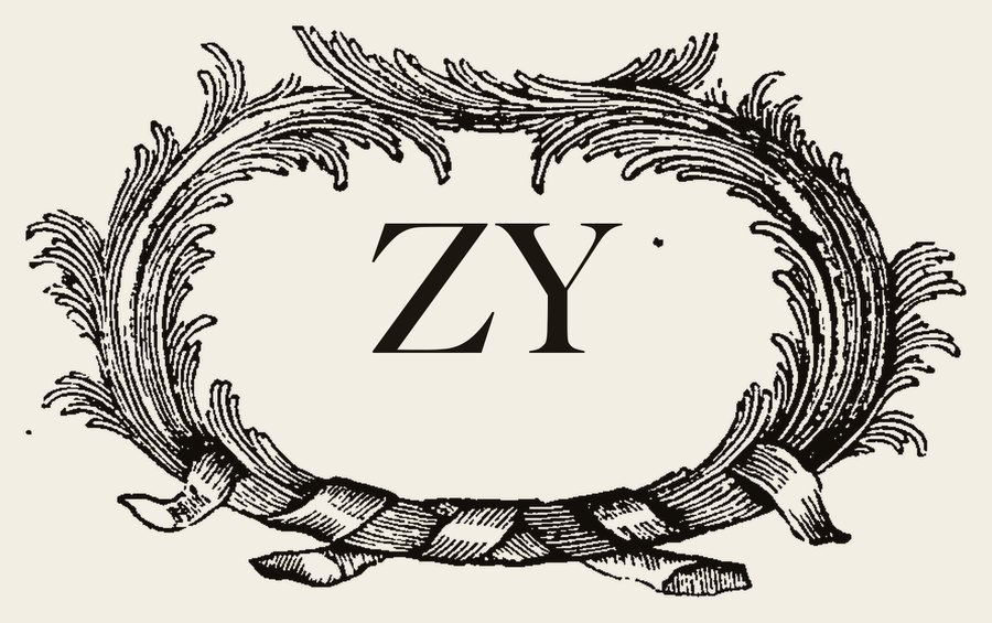Plate V - ZY