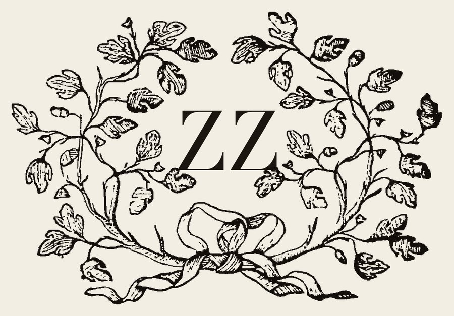 Plate IV - ZZ