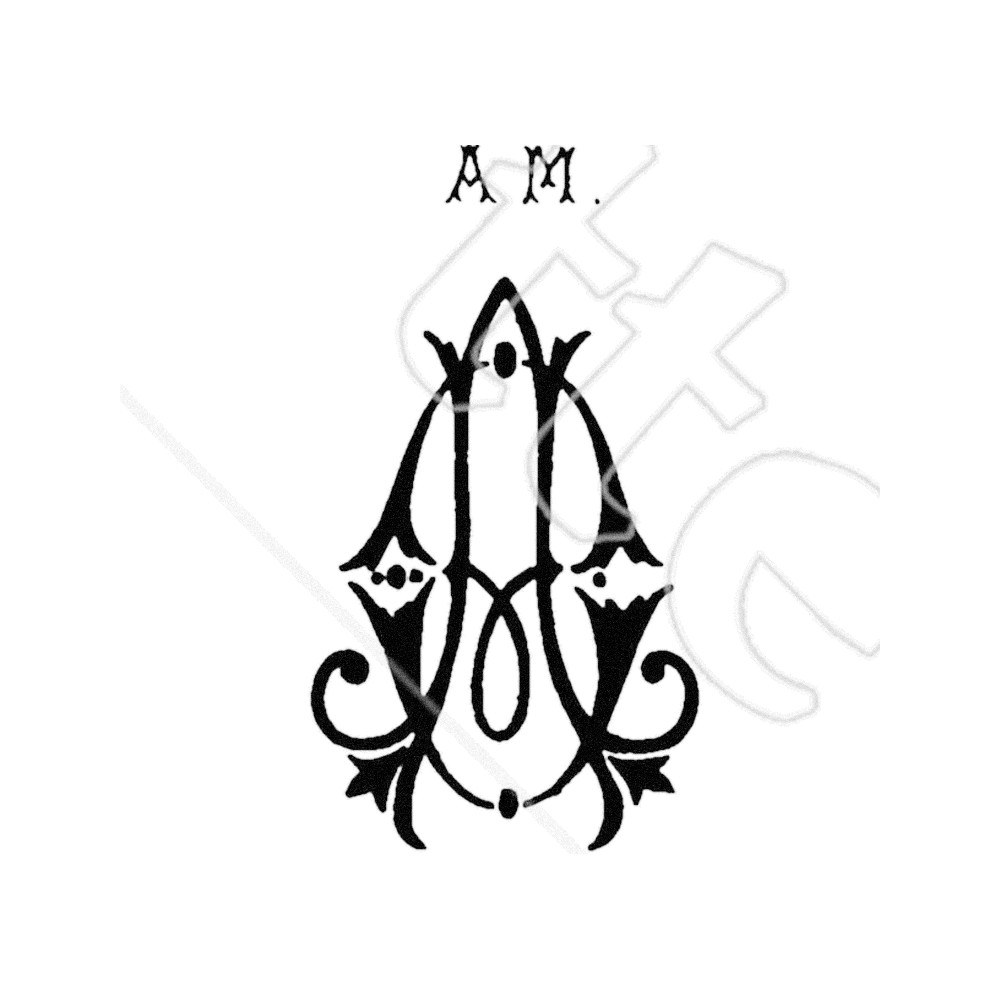 Plate IV - AO