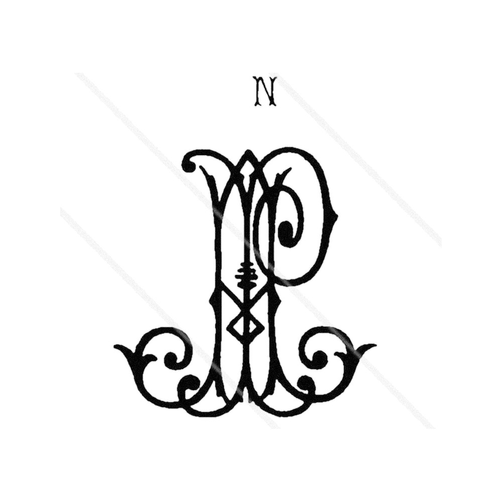 Plate VI - AP