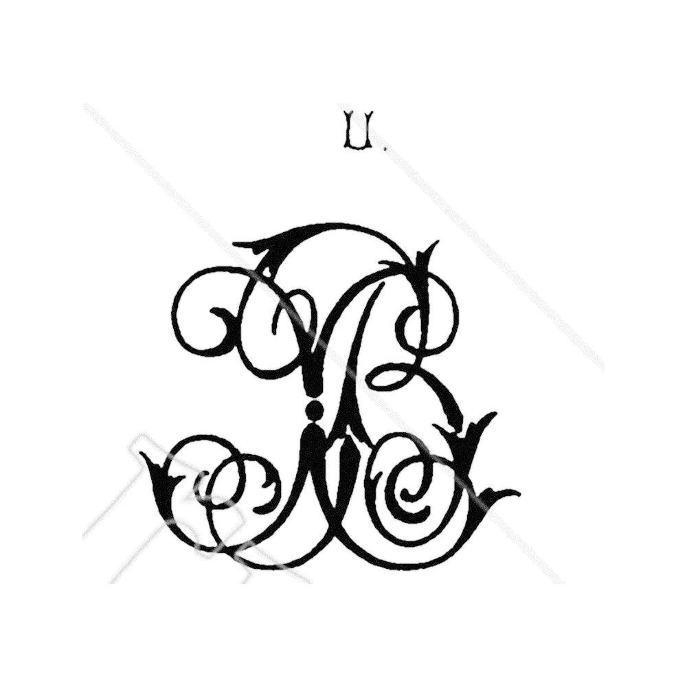 Plate V - BX