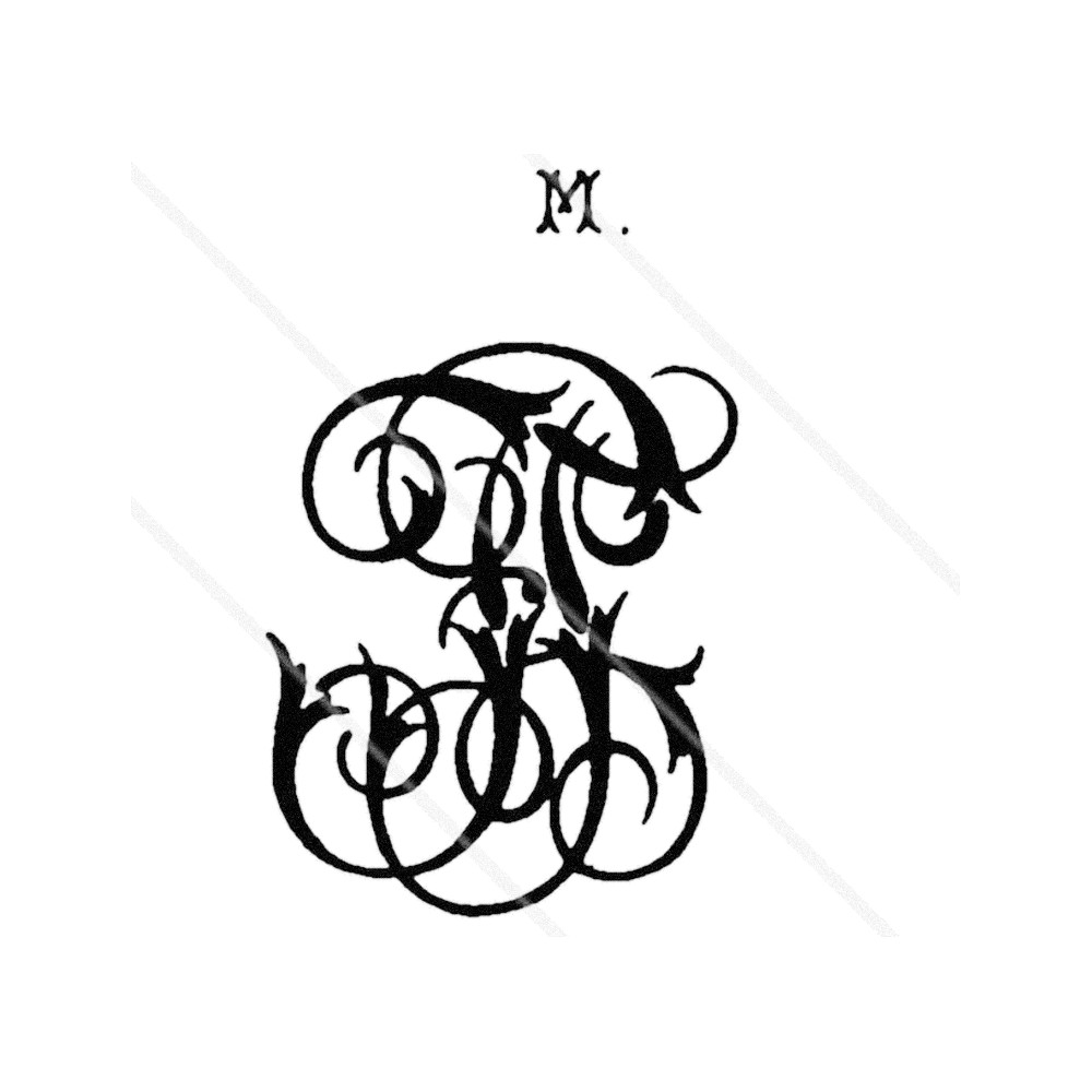 Plate V - FP