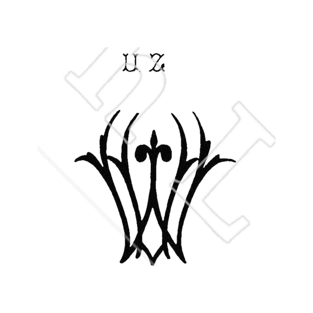 Plate VIII - WX
