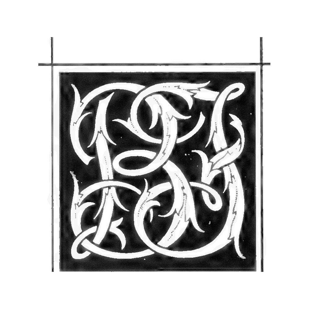 Plate I - BF