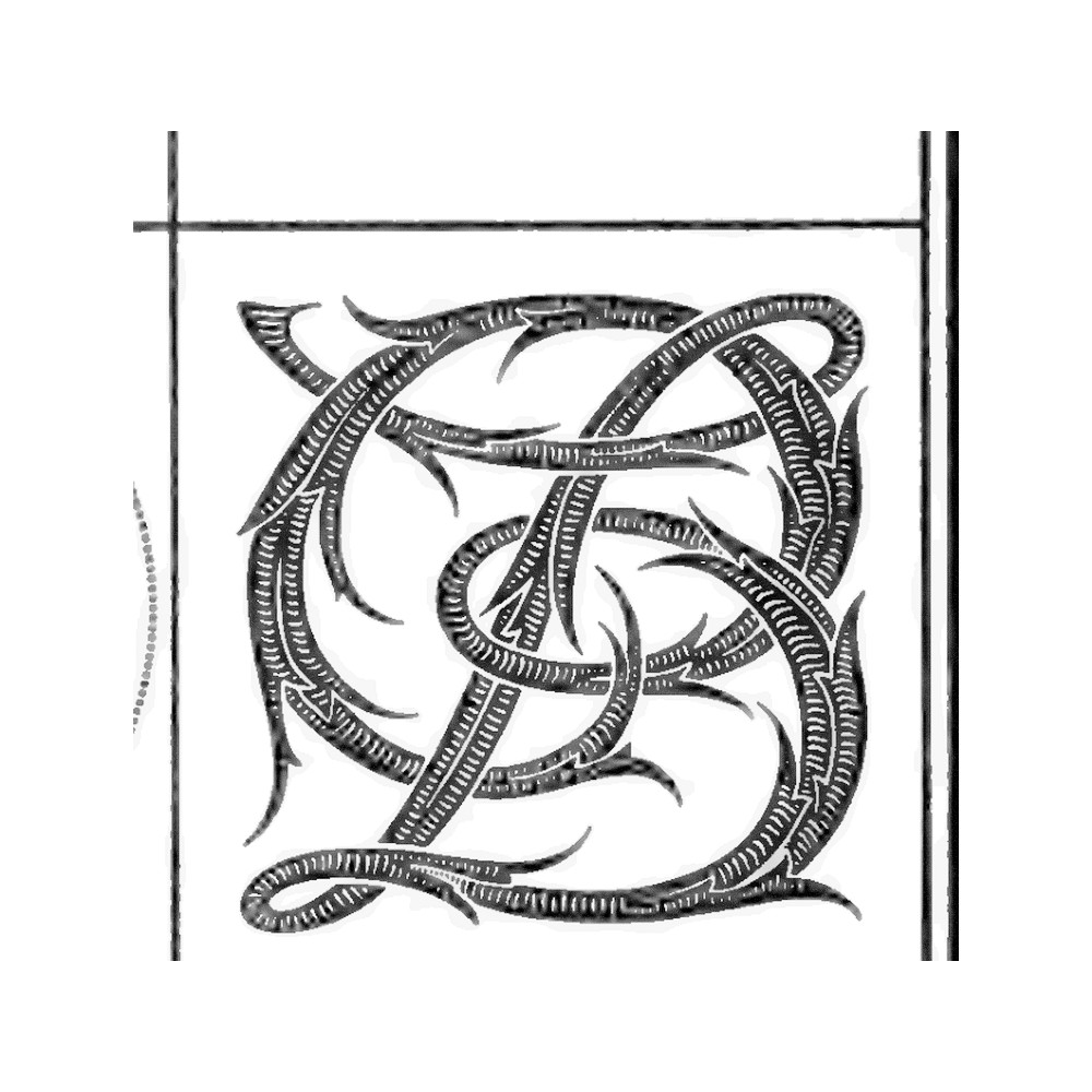 Plate I - LB