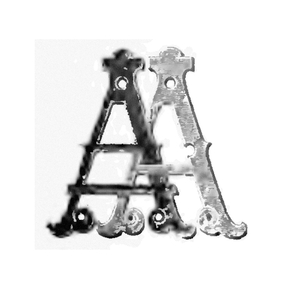 Plate XVI - AA