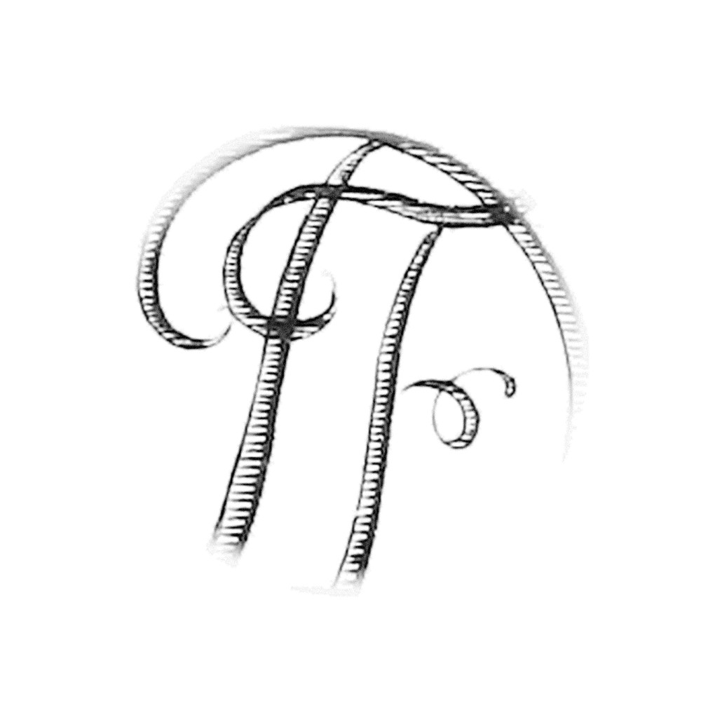 Plate IV - FD