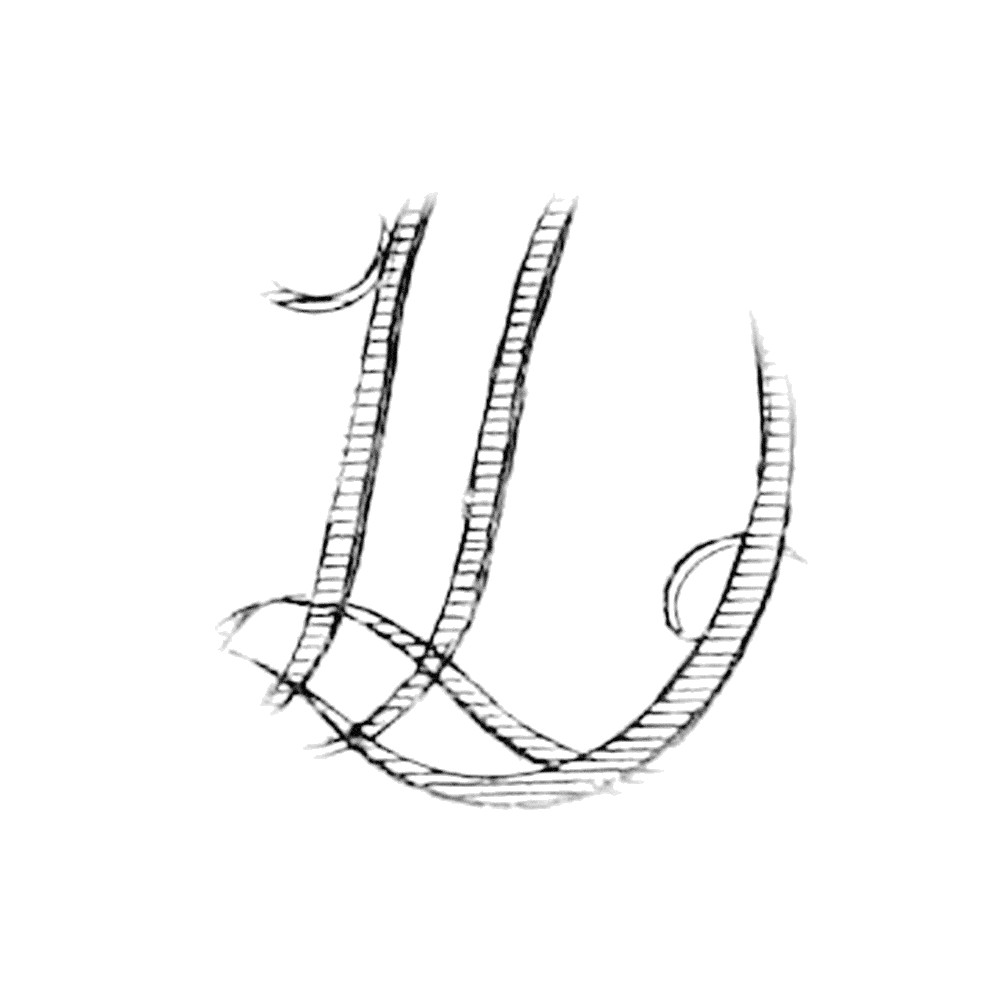 Plate IV - LD