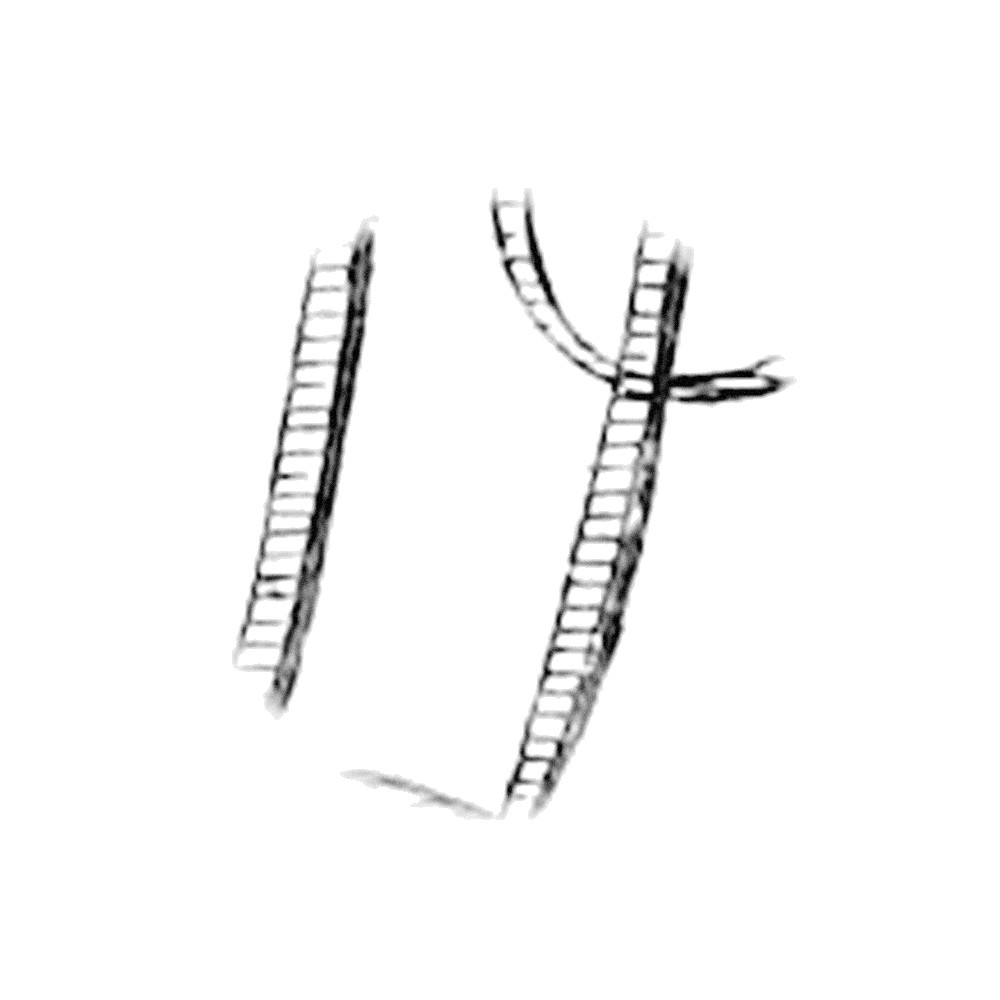 Plate VIII - DP