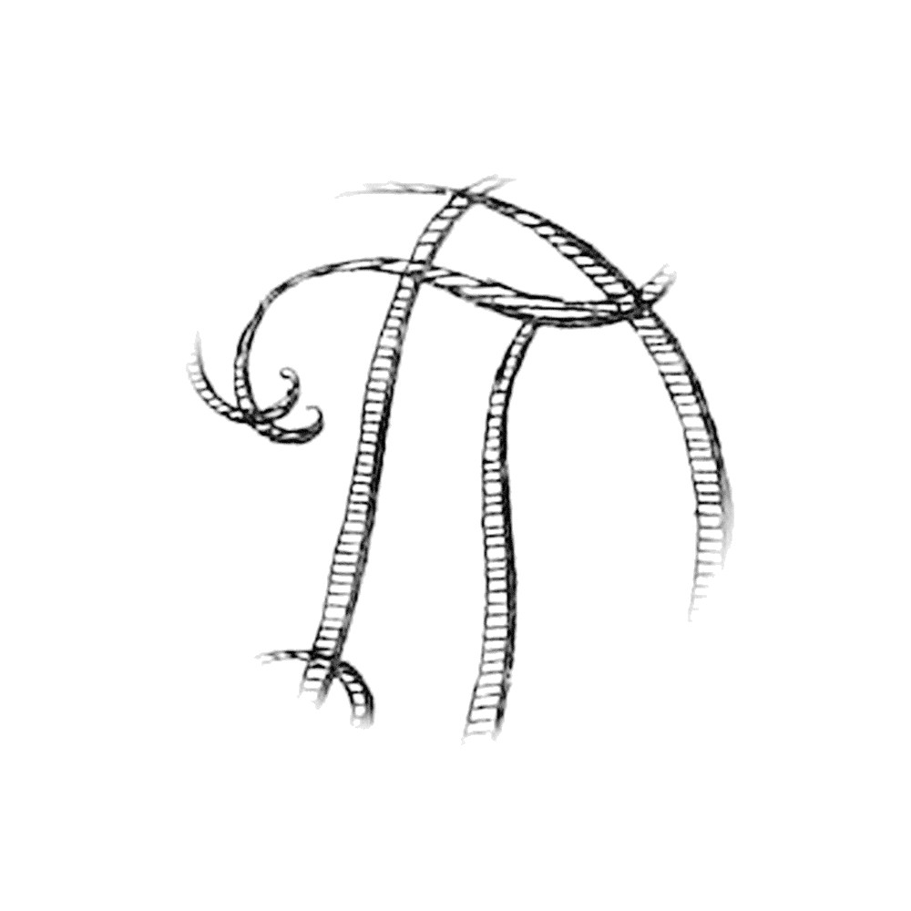Plate V - TD