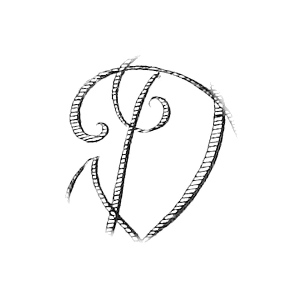 Plate V - DU