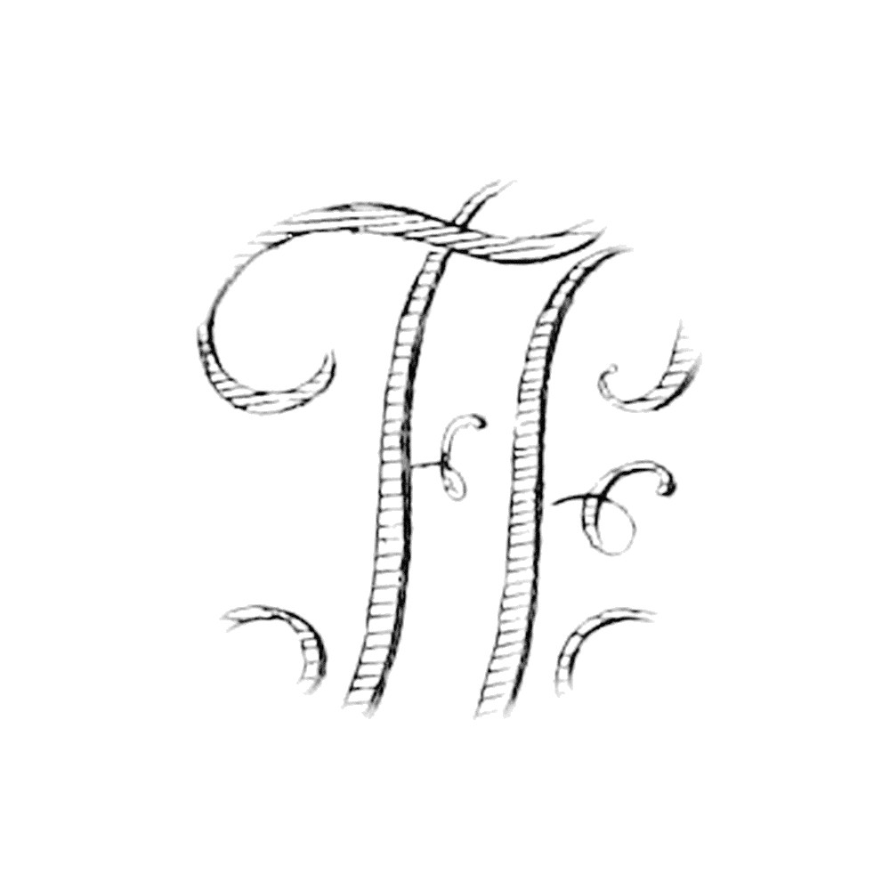 Plate VI - FE