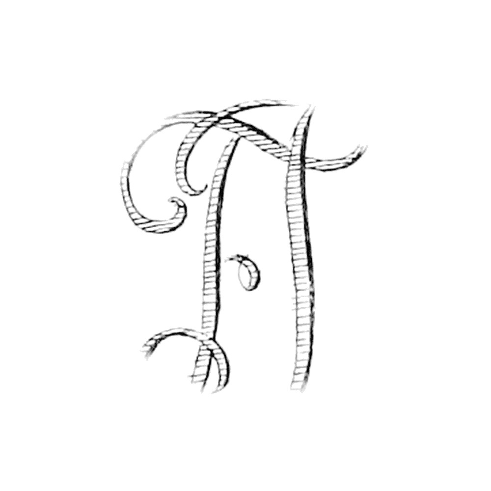 Plate II - EI