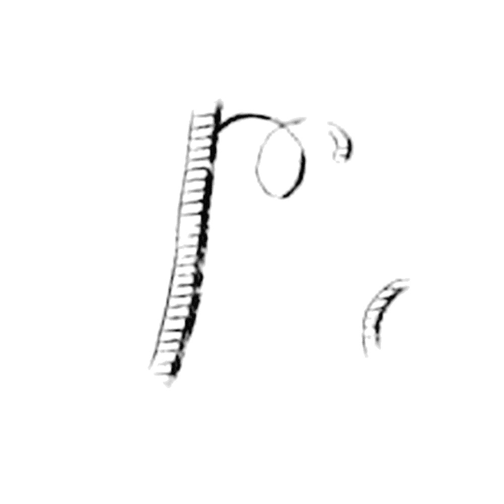 Plate III - OE