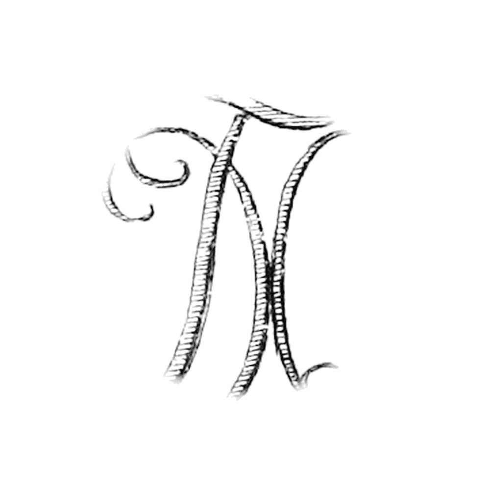 Plate VI - XE