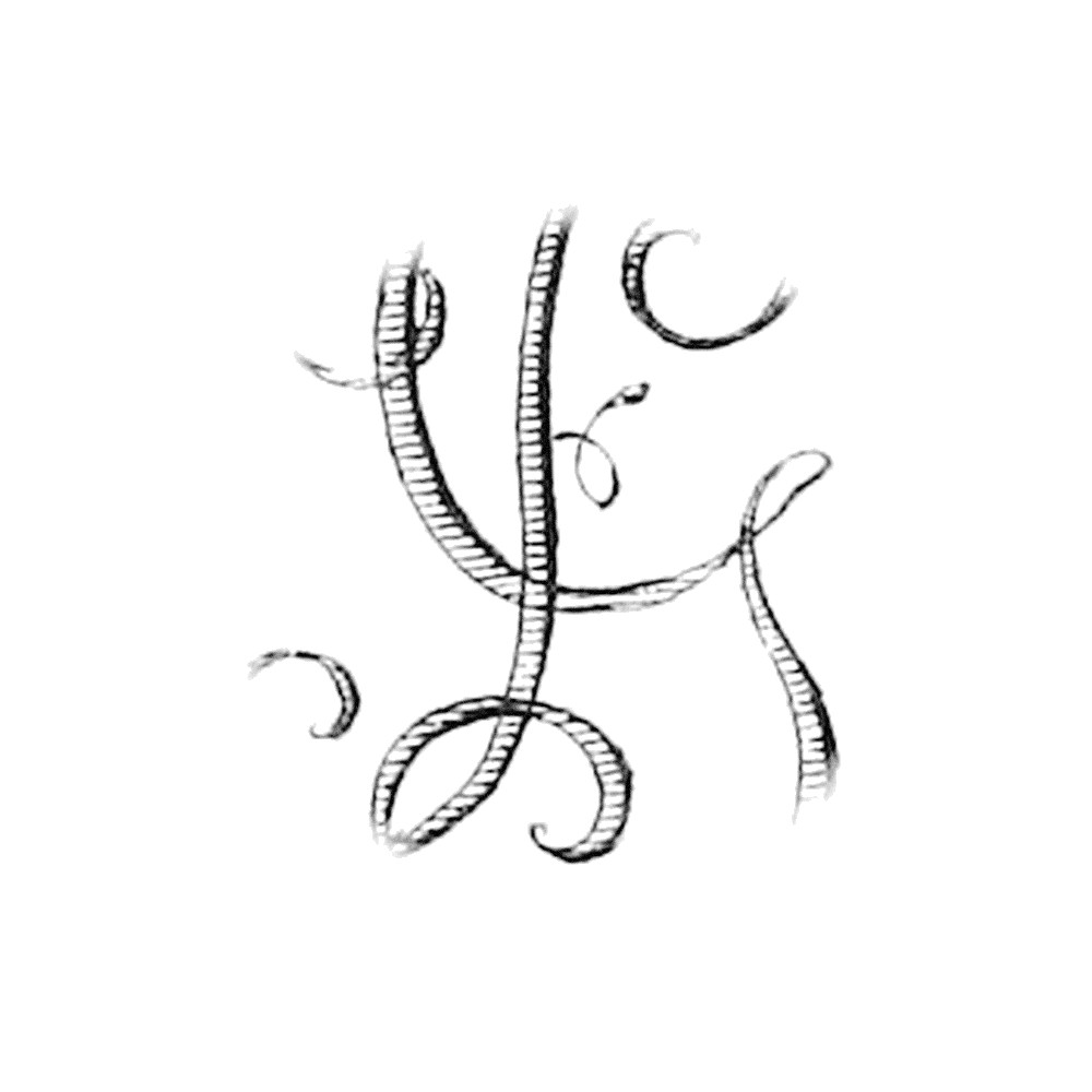 Plate VIII - FG